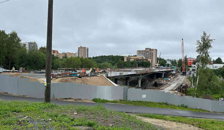 лобановский мост