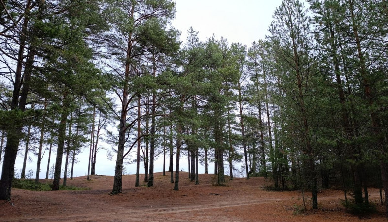 Берег озера в Шелтозере