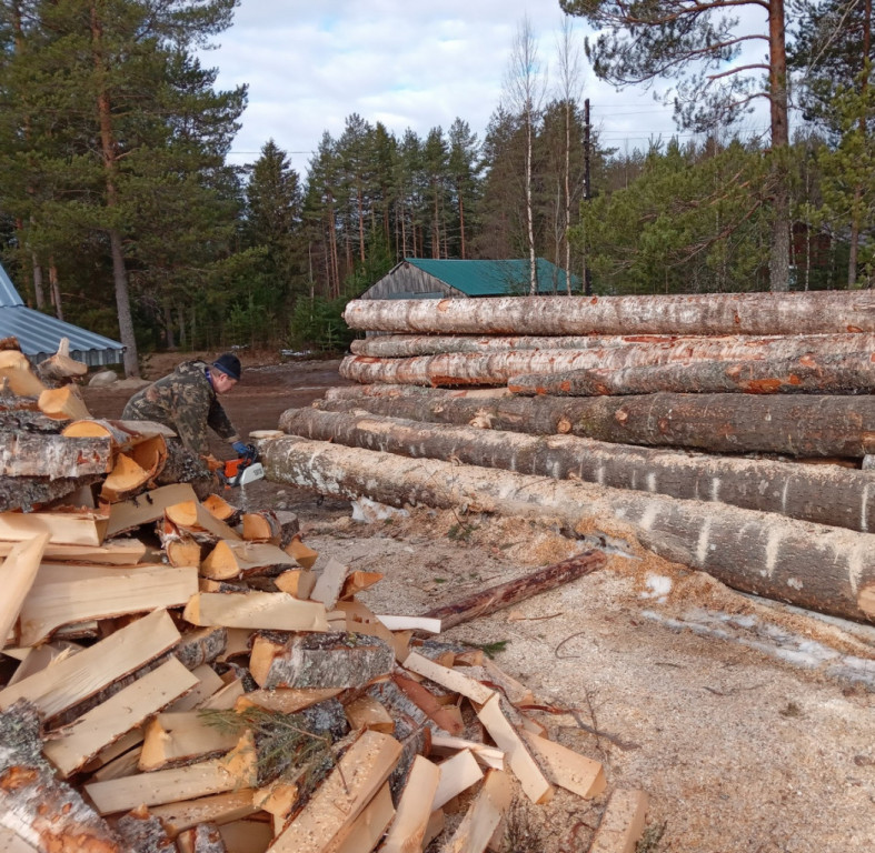 мужчина пилит дрова