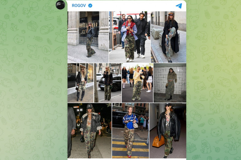 модные вещи Рогов