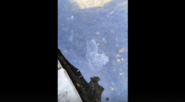 субстанция в воде