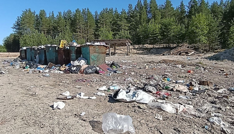 Мусор в поселке Шалговаара