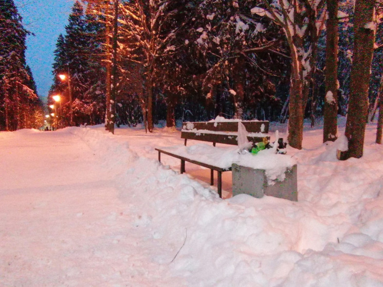 скамейка урна в снегу