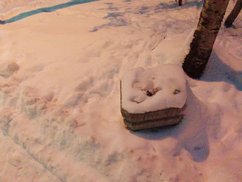 урна с мусором и снегом