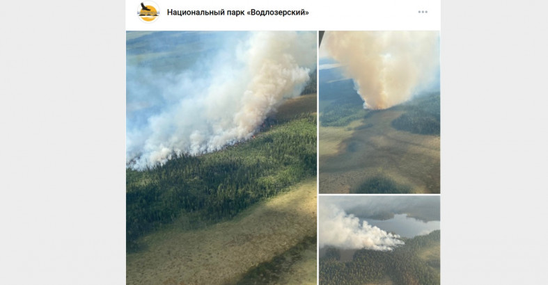 лесной пожар