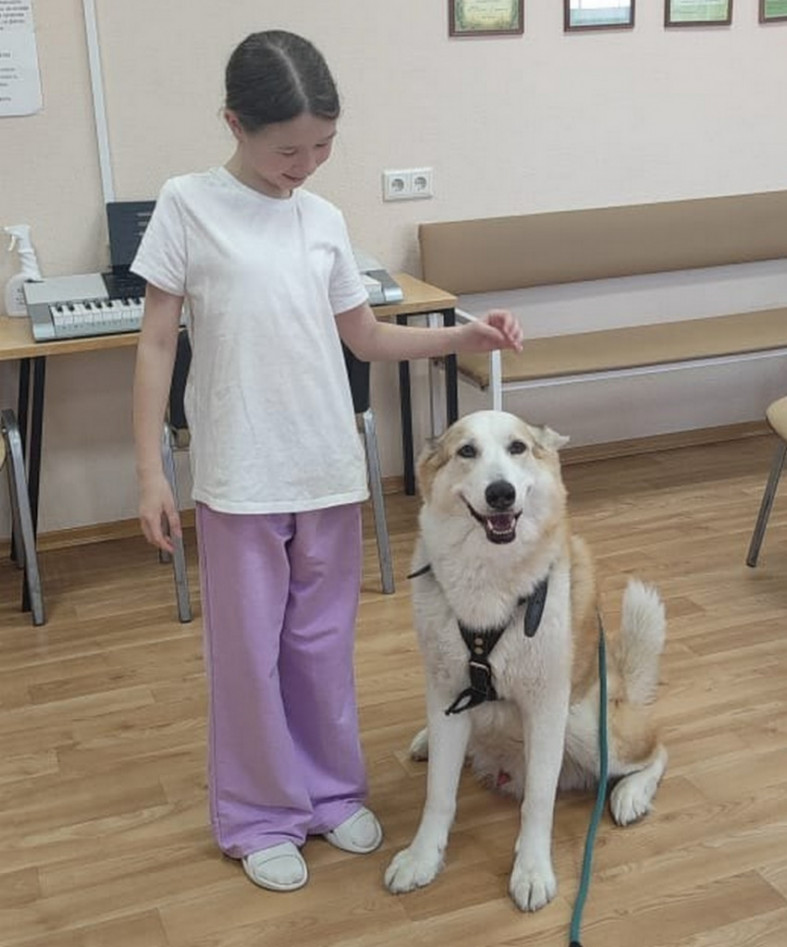 девочка и собака