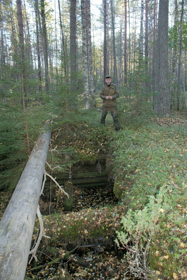 Гора пушечная ленинградской области фото