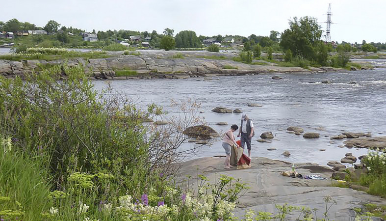 Берег Белого моря