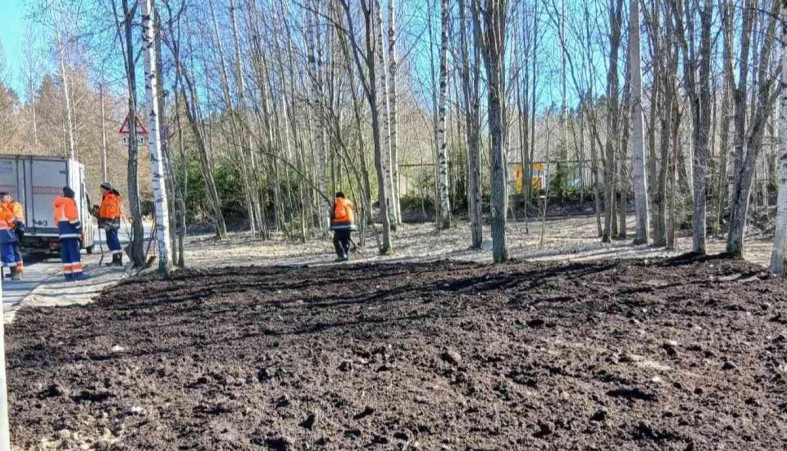 Питкярантская