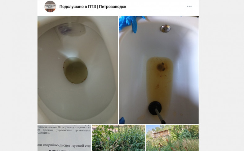 фекалии