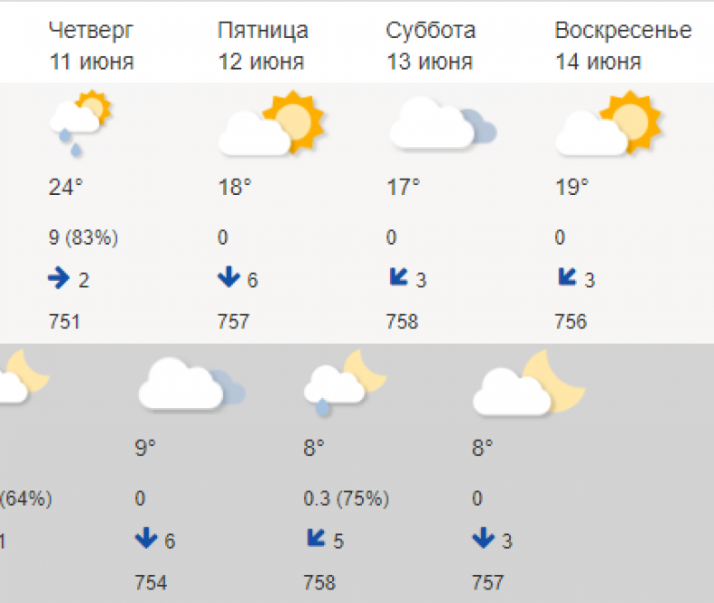 Синоптик точно. Синоптик. Синоптики Гидрометцентра России. Погода в Петрозаводске синоптик. Комментарии синоптиков на конец февраля.