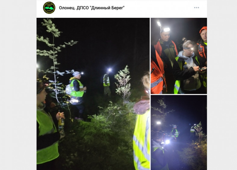 поиски в лесу