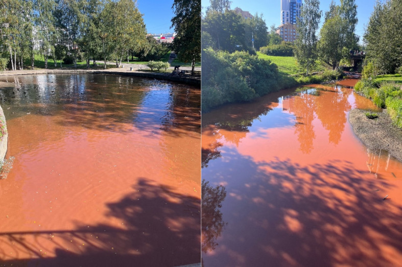 цвет в Неглинке