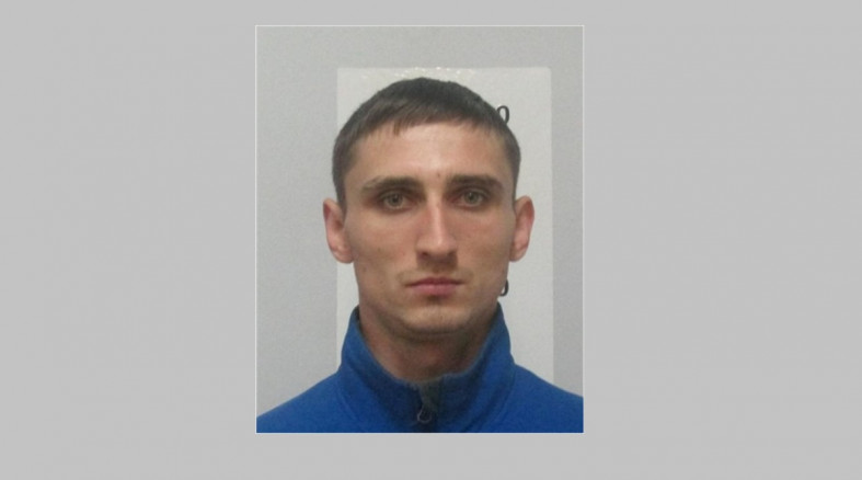 розыск