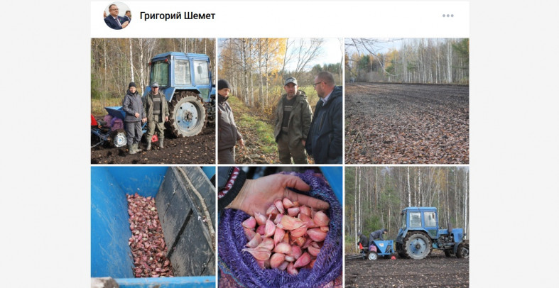 фермеры