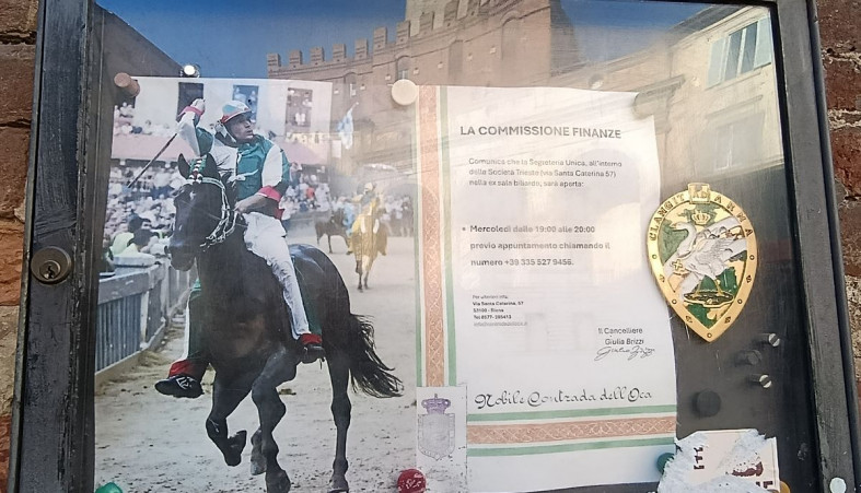 Сиена скачки