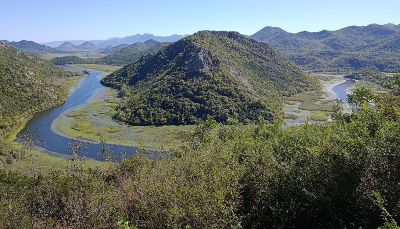 Риека Црноевича