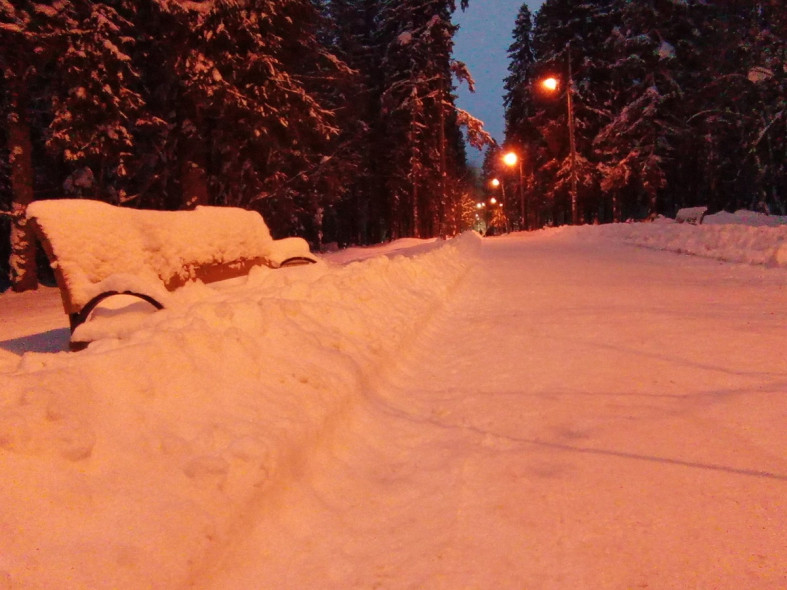 скамейки в снегу