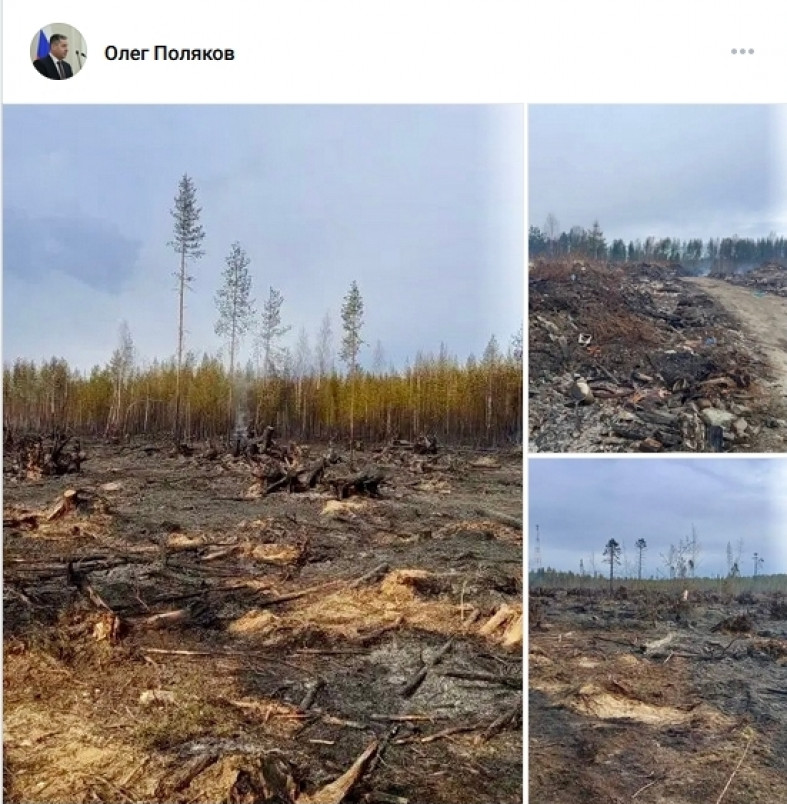 полигон