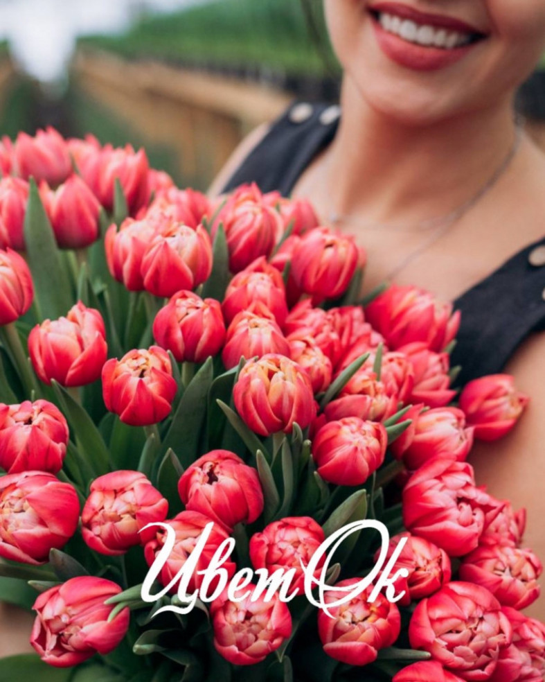 девушка с тюльпанами