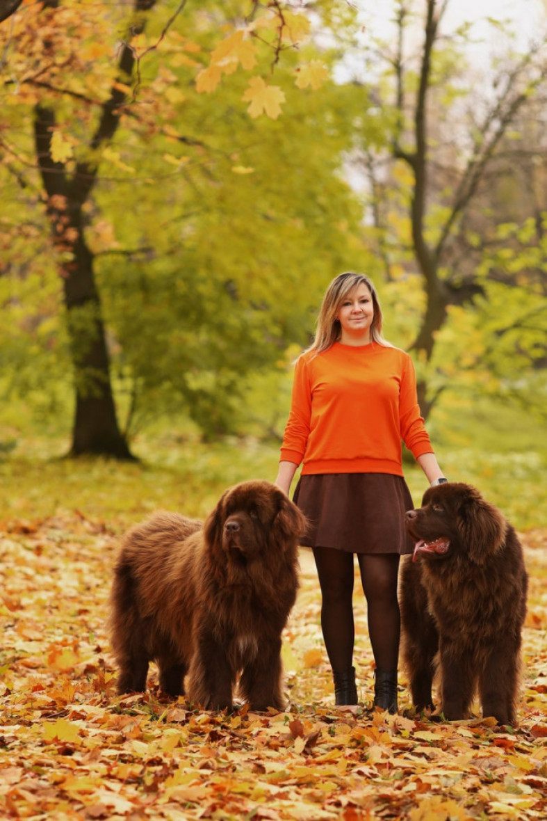девушка с собаками в парке