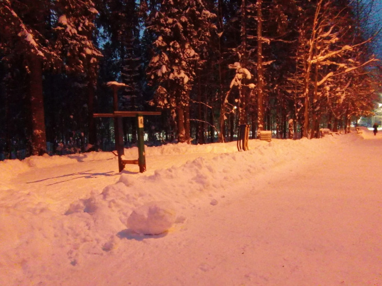 тренажеры Беличий парк