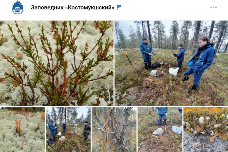 ученые