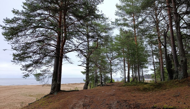 Онежское озеро