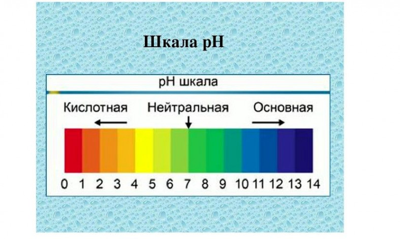 Живая и мертвая вода правда существует?