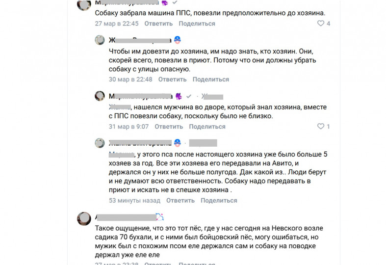 комменты по собаке