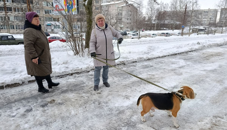 Жители дома по Ровио