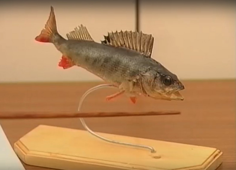 окунь_макет