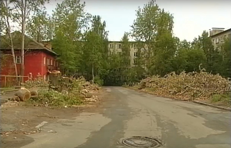 аварийный тополь