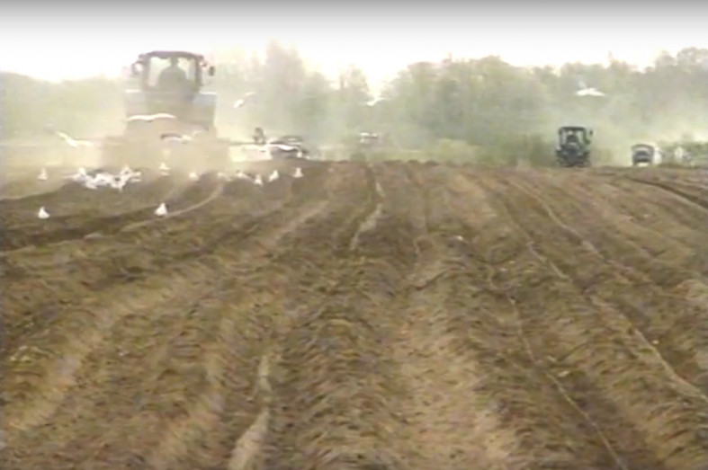 трактор поле