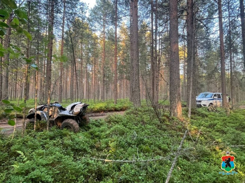 смертельное ДТП
