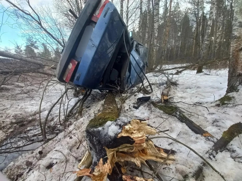 Смертельное ДТП