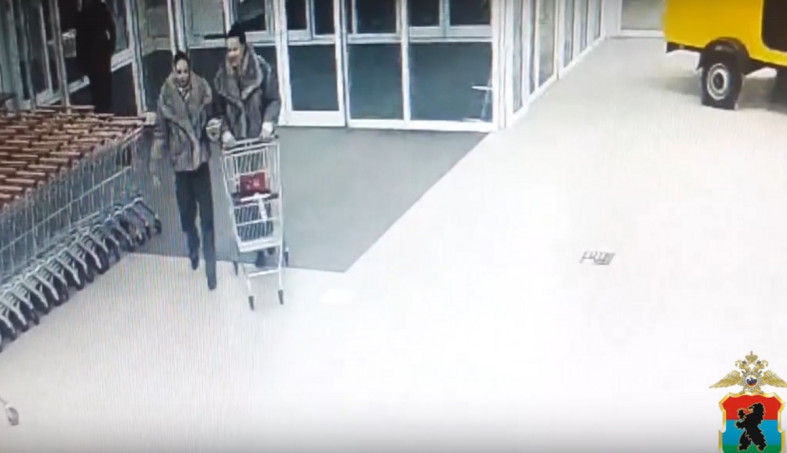 подозреваемые