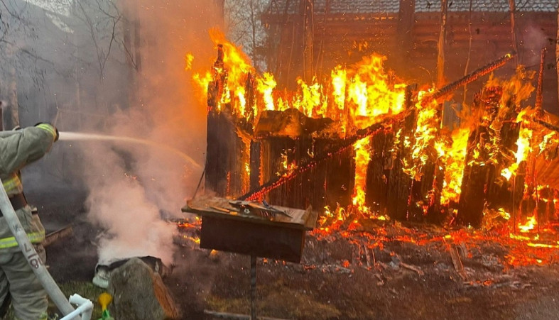 Пожар в Сосновом Бору Пожар в Сосновом Бору