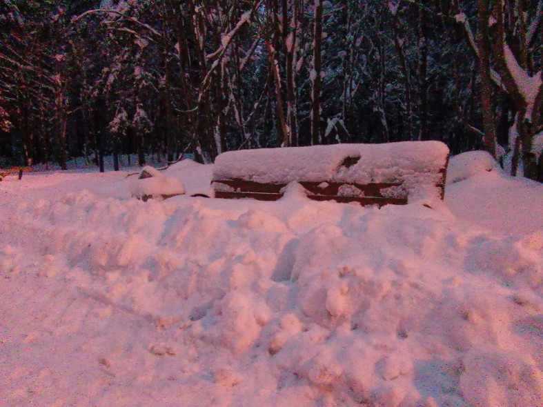 скамейка в парке