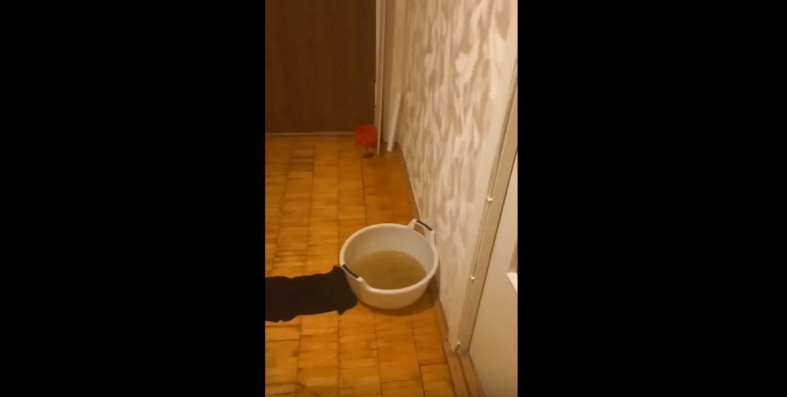 квартира тазик вода заливает