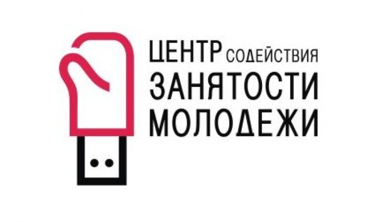 Центр занятости петрозаводск. Содействие занятости молодежи. Центр содействия занятости. Содействие трудоустройство молодежи. Картинка центр содействия трудоустройству.