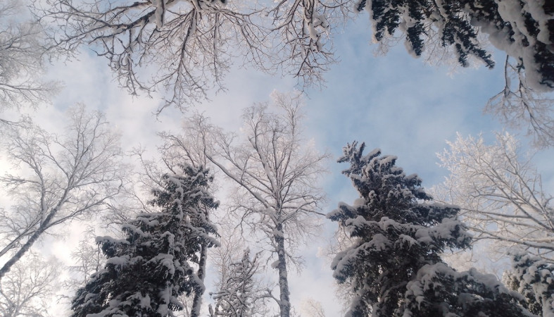 зимнее небо зимнее небо