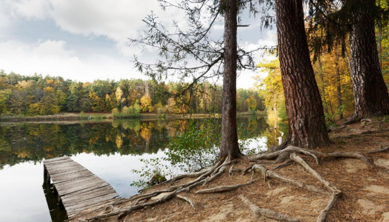 пирс на озере
