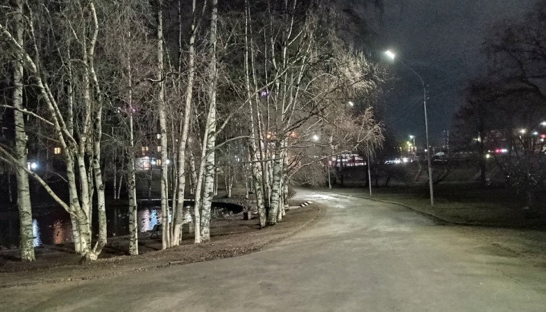 темный парк темный парк