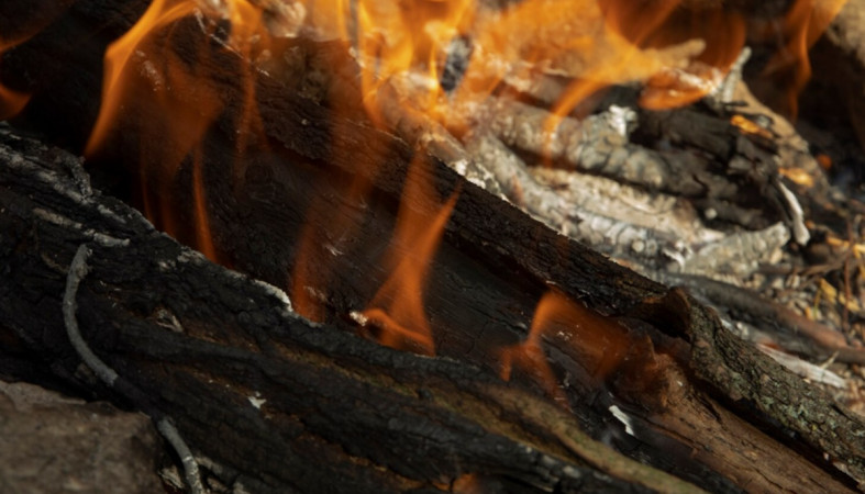 горят дрова горят дрова