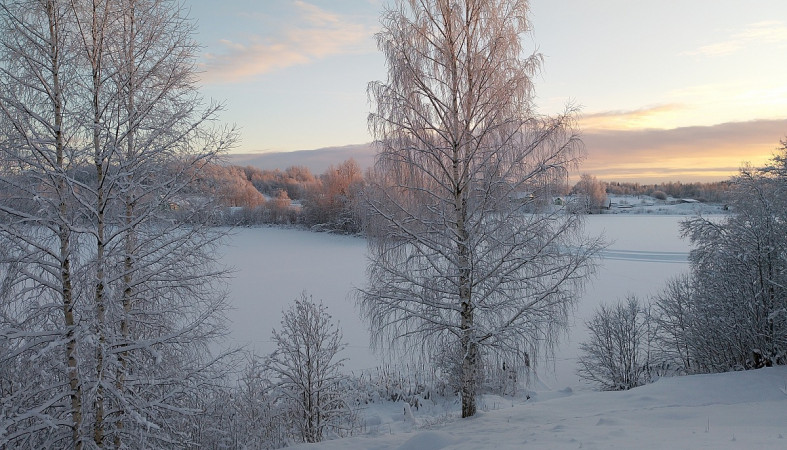 природа зимой природа зимой