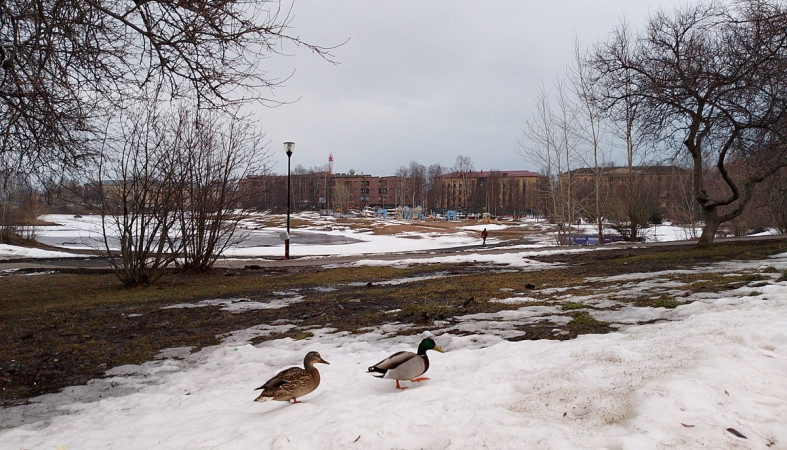 мартовский день в парке мартовский день в парке