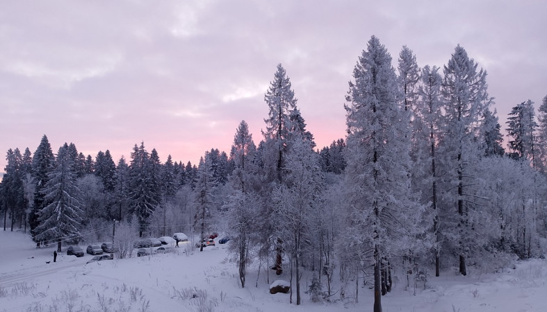морозный розовый закат