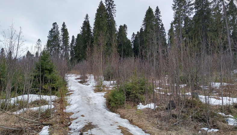 пасмурный день