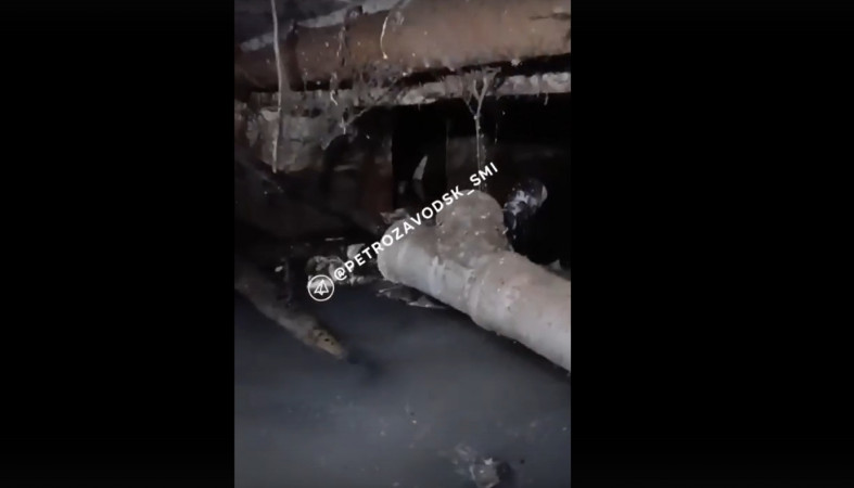 затопленный подвал затопленный подвал